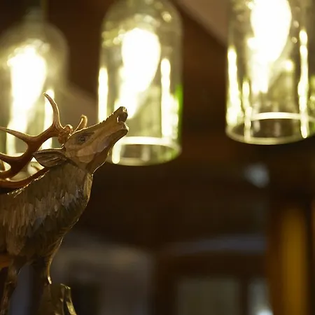 Landgasthof Seemer 호텔 3*