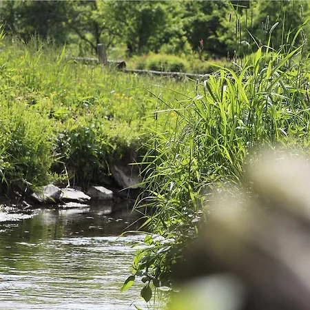 Landgasthof Seemer 호텔 에슬로헤