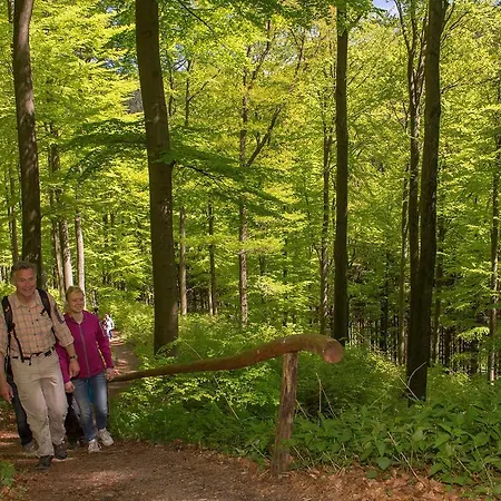 Landgasthof Seemer 에슬로헤