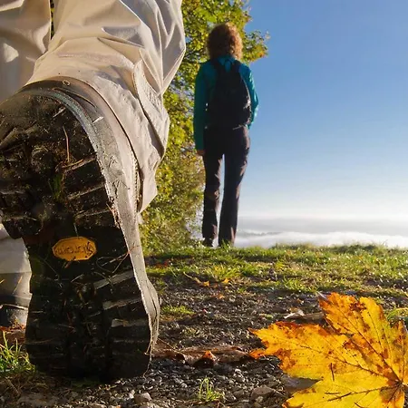 Landgasthof Seemer 호텔 3*