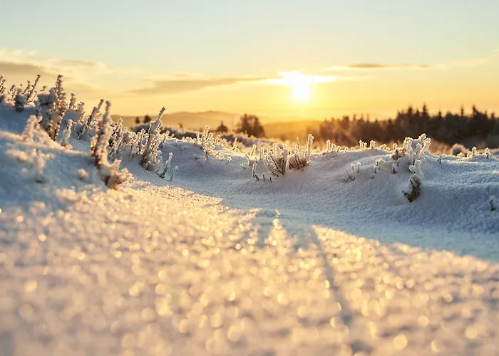 Landgasthof Seemer Eslohe