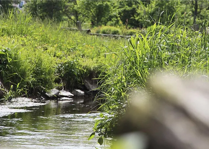 Landgasthof Seemer Hotel Eslohe