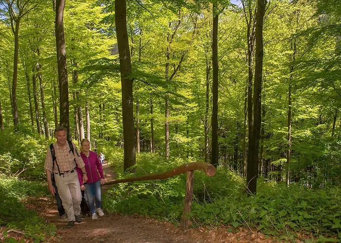 Landgasthof Seemer Eslohe