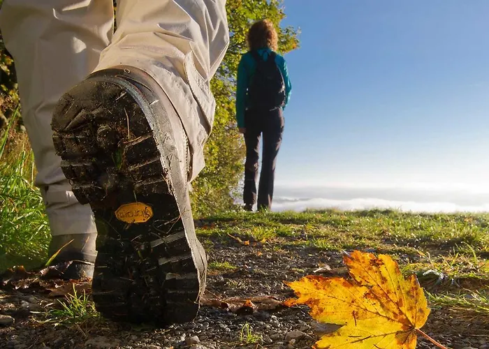 Landgasthof Seemer Hotel 3*